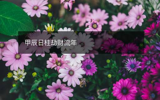 甲辰日柱劫财流年