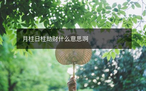 月柱日柱劫财什么意思啊