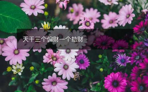 天干三个偏财一个劫财