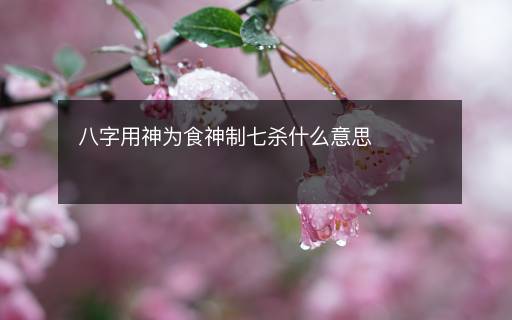 八字用神为食神制七杀什么意思