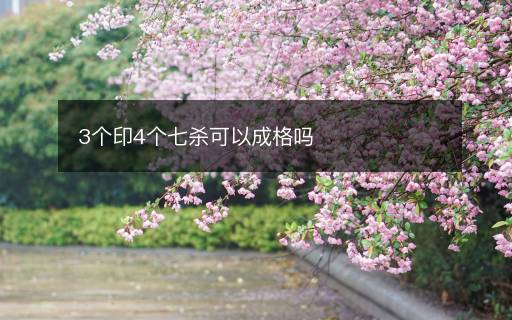 3个印4个七杀可以成格吗