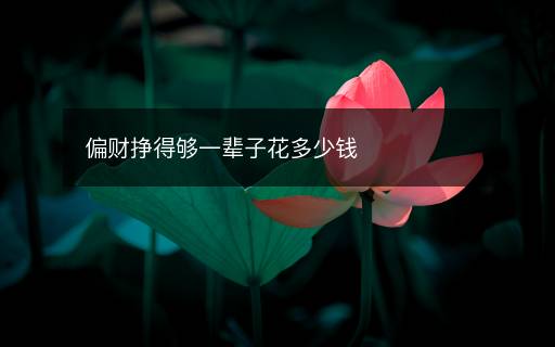 偏财挣得够一辈子花多少钱