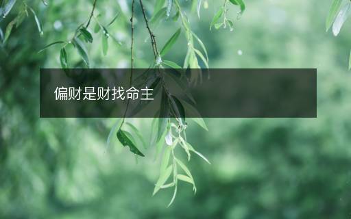 偏财是财找命主