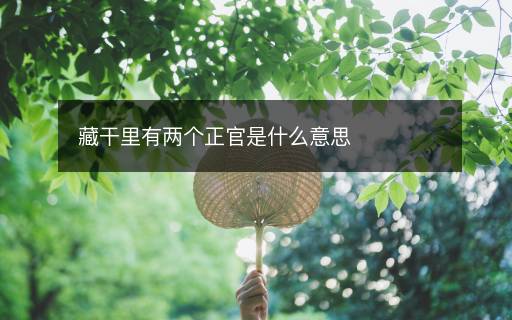 藏干里有两个正官是什么意思