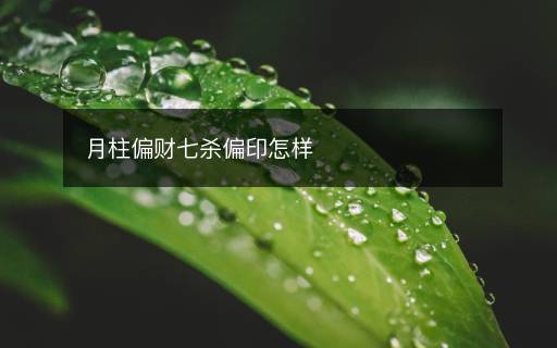 月柱偏财七杀偏印怎样