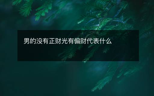 男的没有正财光有偏财代表什么