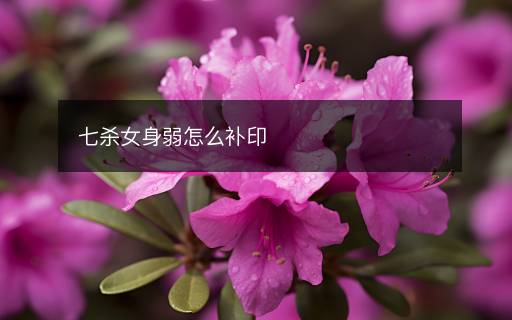 七杀女身弱怎么补印 七杀女身弱怎么补印