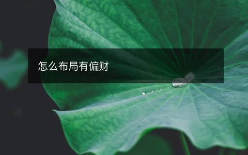 怎么布局有偏财