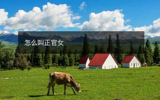 怎么叫正官女 怎么叫正官女