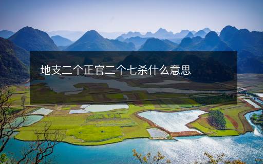 地支二个正官二个七杀什么意思