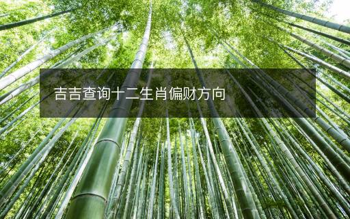 吉吉查询十二生肖偏财方向
