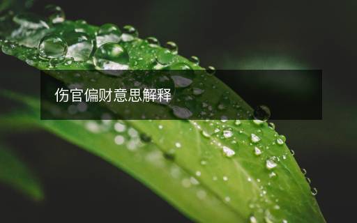 伤官偏财意思解释 伤官偏财意思解释