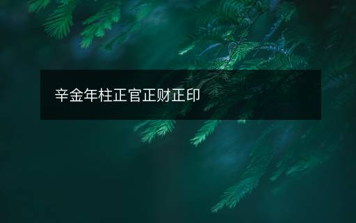辛金年柱正官正财正印 辛金年柱正官正财正印