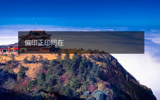 偏印正印同在
