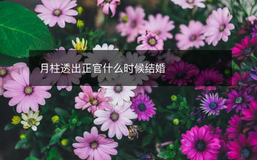 月柱透出正官什么时候结婚