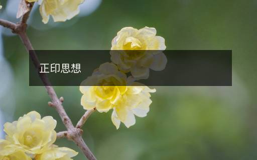 正印思想 正印思想