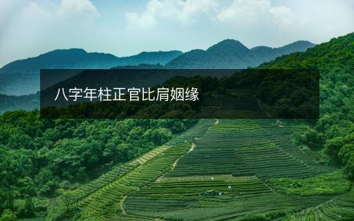 八字年柱正官比肩姻缘