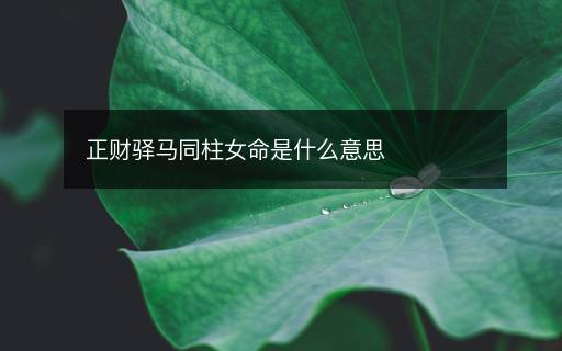 正财驿马同柱女命是什么意思 正财驿马同柱女命是什么意思