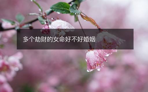 多个劫财的女命好不好婚姻