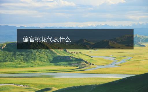 偏官桃花代表什么