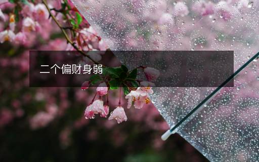 二个偏财身弱