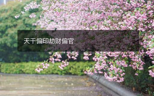 天干偏印劫财偏官