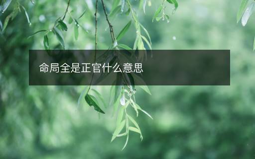命局全是正官什么意思