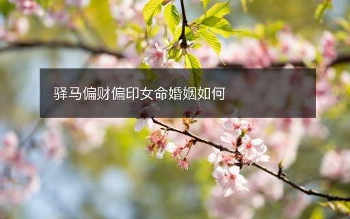 驿马偏财偏印女命婚姻如何