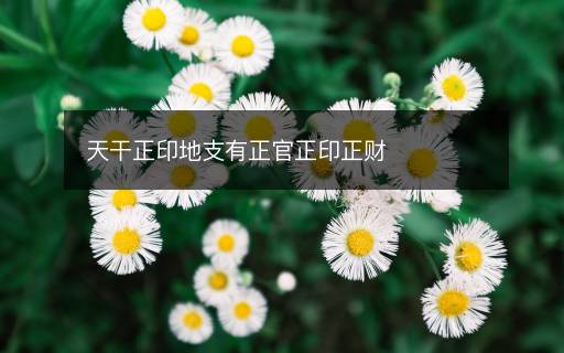 天干正印地支有正官正印正财