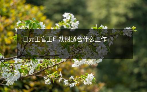 日元正官正印劫财适合什么工作