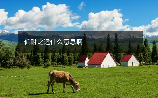 偏财之运什么意思啊