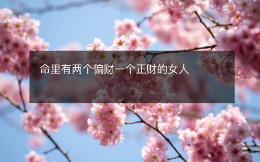 命里有两个偏财一个正财的女人