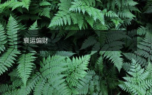 衰运偏财