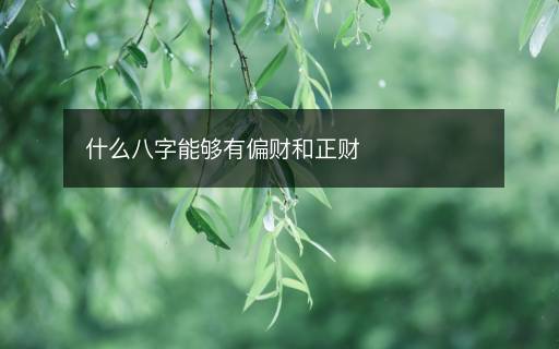什么八字能够有偏财和正财