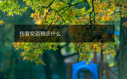 伤官交运预示什么