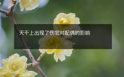 天干上出现了伤官对配偶的影响