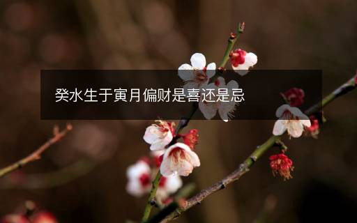 癸水生于寅月偏财是喜还是忌