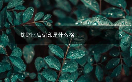 劫财比肩偏印是什么格