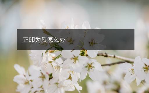 正印为反怎么办