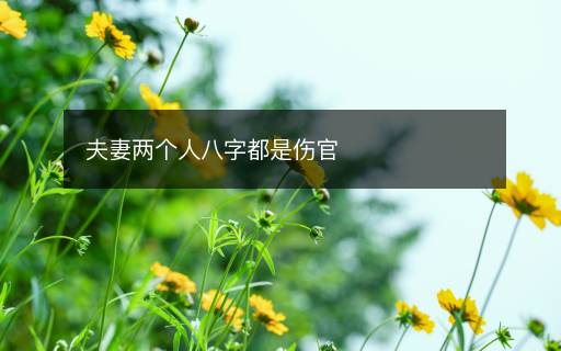 夫妻两个人八字都是伤官 夫妻两个人八字都是伤官