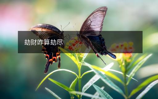 劫财咋算劫尽