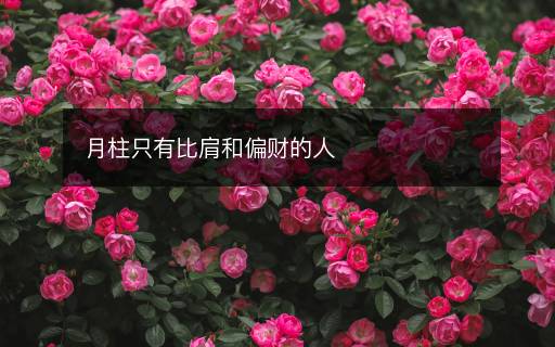 月柱只有比肩和偏财的人