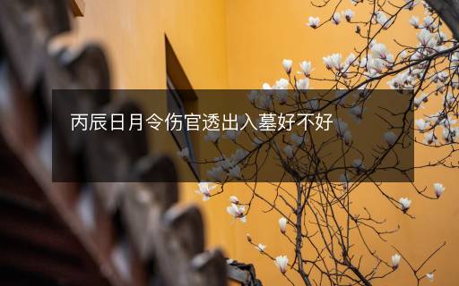 丙辰日月令伤官透出入墓好不好