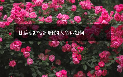 比肩偏财偏印旺的人命运如何