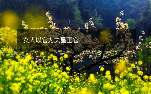 女人以官为夫星正官