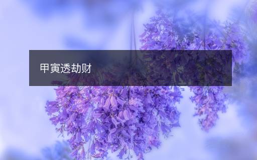 甲寅透劫财