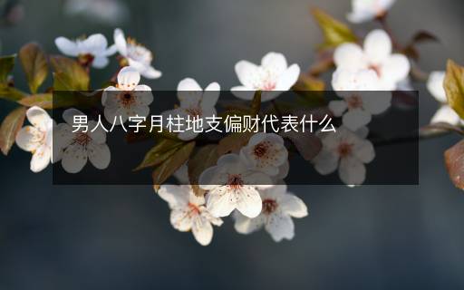 男人八字月柱地支偏财代表什么 男人八字月柱地支偏财代表什么