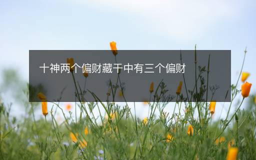 十神两个偏财藏干中有三个偏财