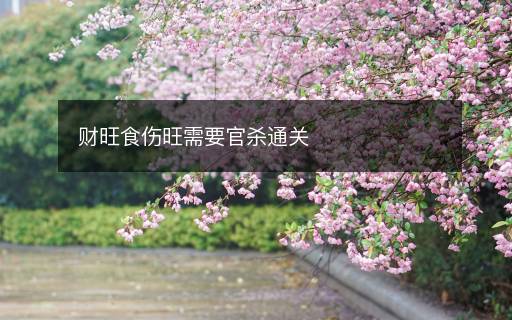 财旺食伤旺需要官杀通关