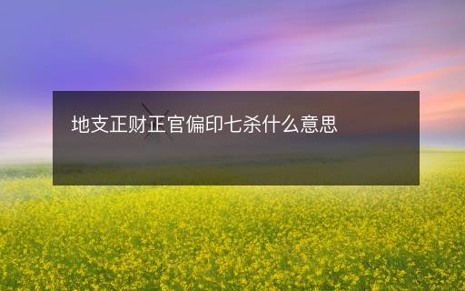 地支正财正官偏印七杀什么意思